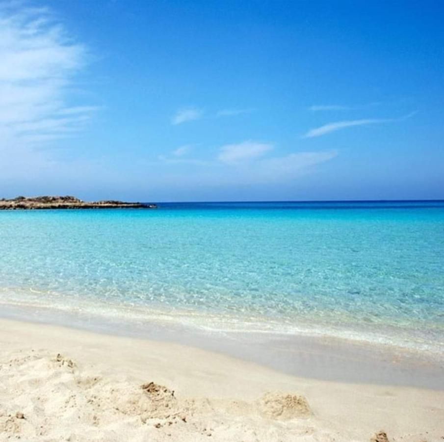 Nissi Golden Sands Sea View 2 Bedroom Apartment Ajía Nápa Eksteriør bilde