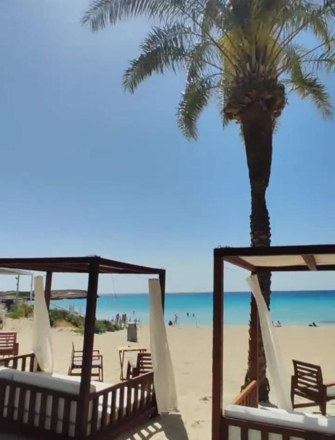 Nissi Golden Sands Sea View 2 Bedroom Apartment Ajía Nápa Eksteriør bilde